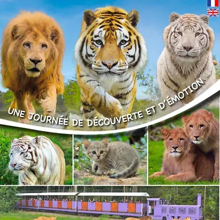 Oda ve Kahvaltı Paradise Favieres (Seine-et-Marne)